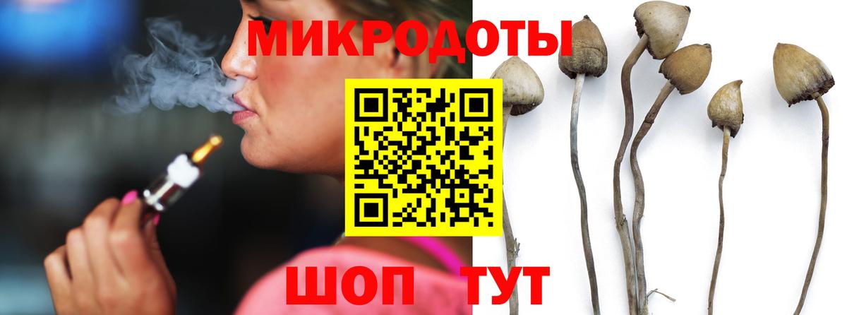 Галлюциногенные грибы GOLDEN TEACHER  Вход с VPN  Бузулук 